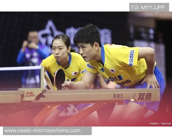 重庆羽毛球队实力解析与对比分析全面解读各队员表现与战术优势